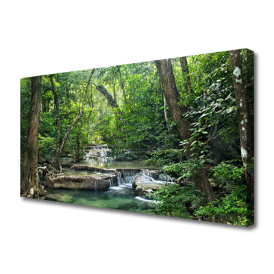 forestal-bosque-naturaleza