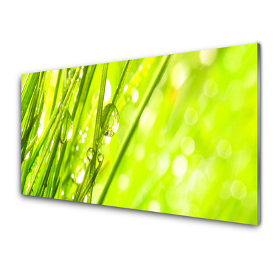 naturaleza-gotas-hierba